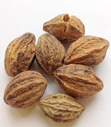 Namo Organics Badi Harad Whole - 300 Gm Fresh - Aralu | Inknut | Ink Kut | Haritaki | Kadukkai - Badi Harar - Terminalia Chebula - Karakkaya By Namo Organics