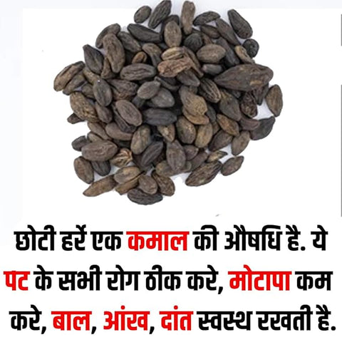 Namo Organics - Choti Harad, Kali Harad, Black Himej - 200g - Myrobalan, Terminalia Chebula - Fresh