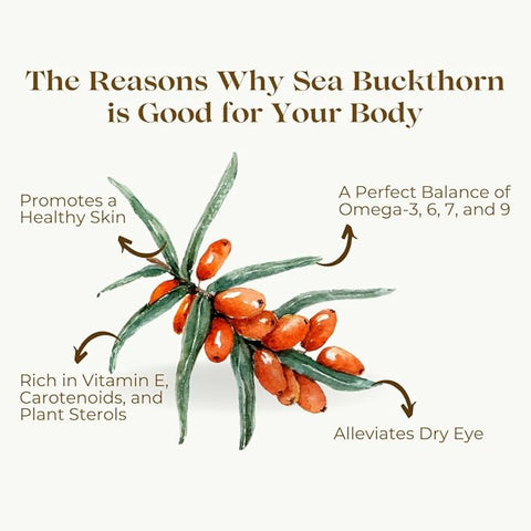 Sea Buckthorn Berry (Powder) 200gm