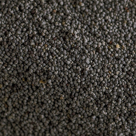 Namo Organics - Turkish Black Poppy Seeds ( Khus Khus, Posto Seeds ) -  High Grade - 100% Raw from Turkey