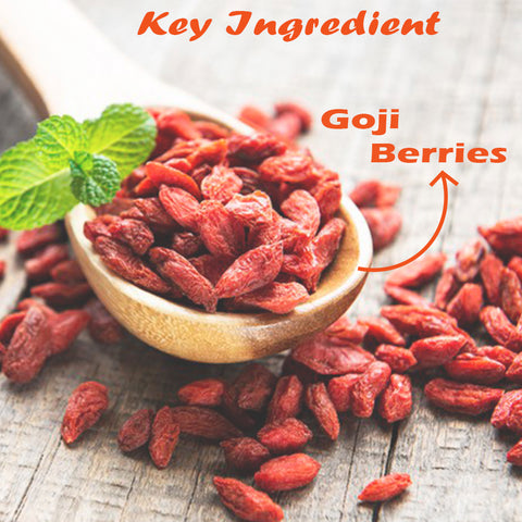 Namo Organics - Dried Goji berries Without Sugar - Unsweetened Dry Fruits Goji berry