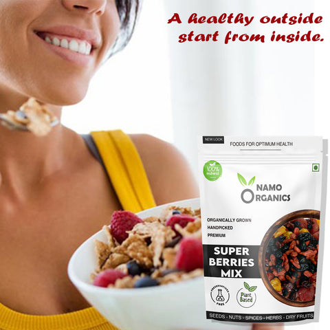 Namo Organics - Super Berry Mix - Dried Mixed Berries | 5+ Berry Dry Fruits like Cranberries, Blueberries, Strawberries, Goji Berries, Black current